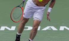 开云体育入口-欧洲网球队血洗英国网球队，穆雷制霸全场的简单介绍