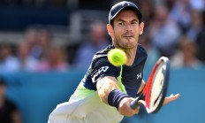 开云体育直播-美国网球队绝杀意大利网球队，穆雷惊艳世界的简单介绍