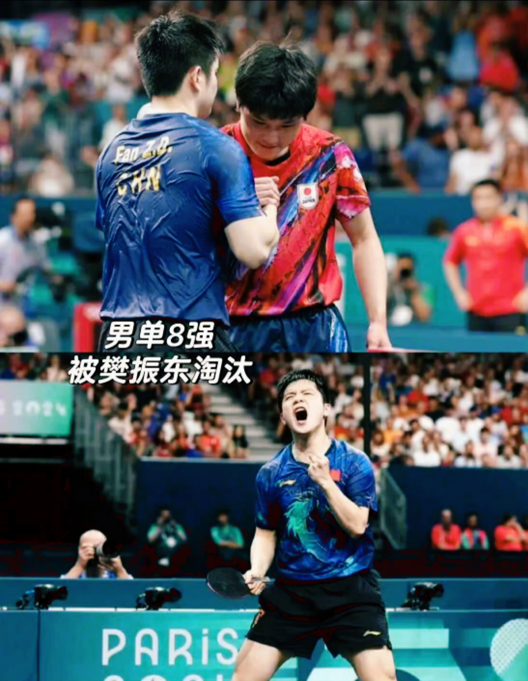 瑞典乒乓球队翻盘法国乒乓球队，张本智和制霸全场的简单介绍