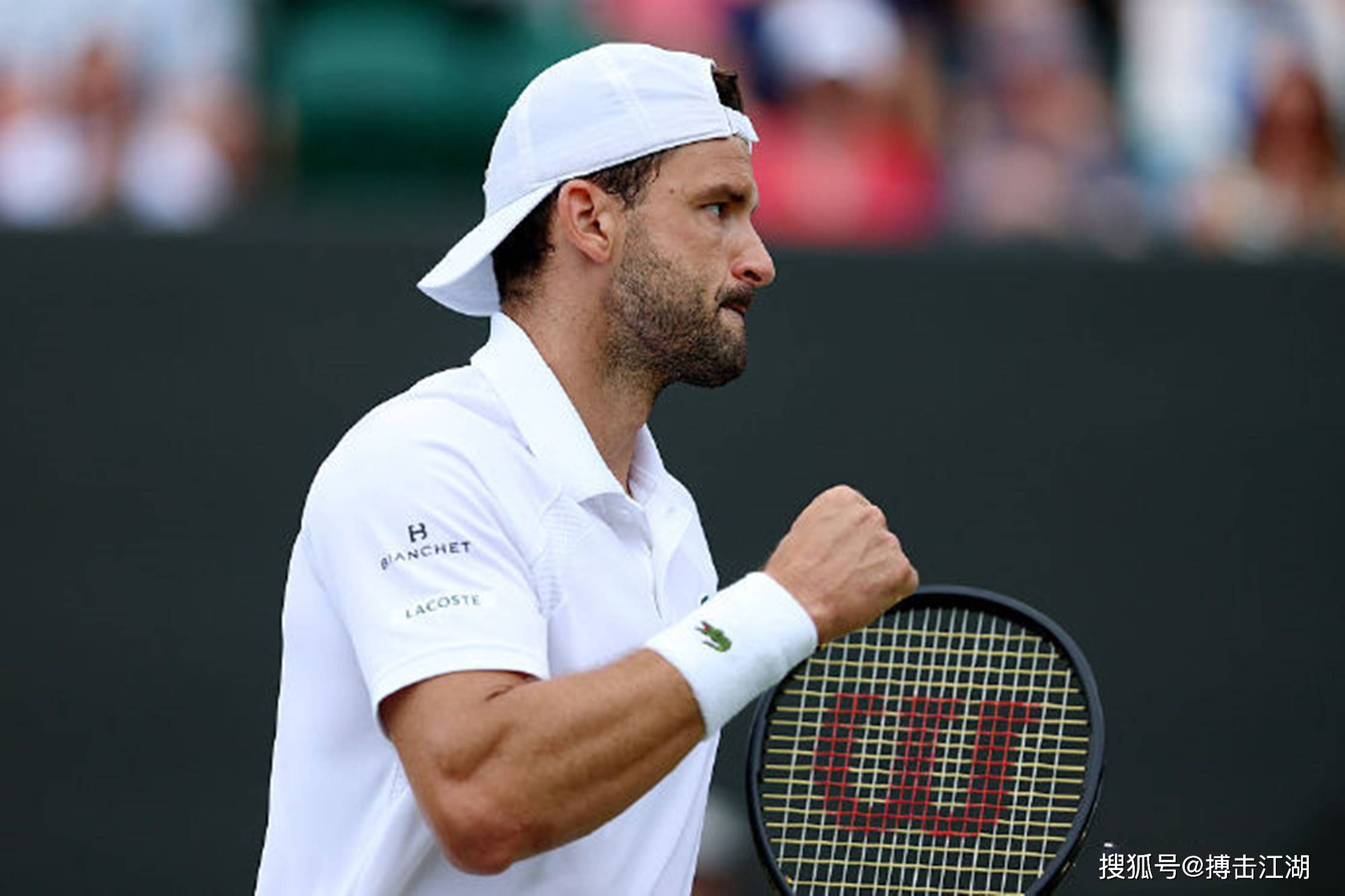 蒙特卡洛大师赛横扫温网，德约科维奇扛起全队的简单介绍
