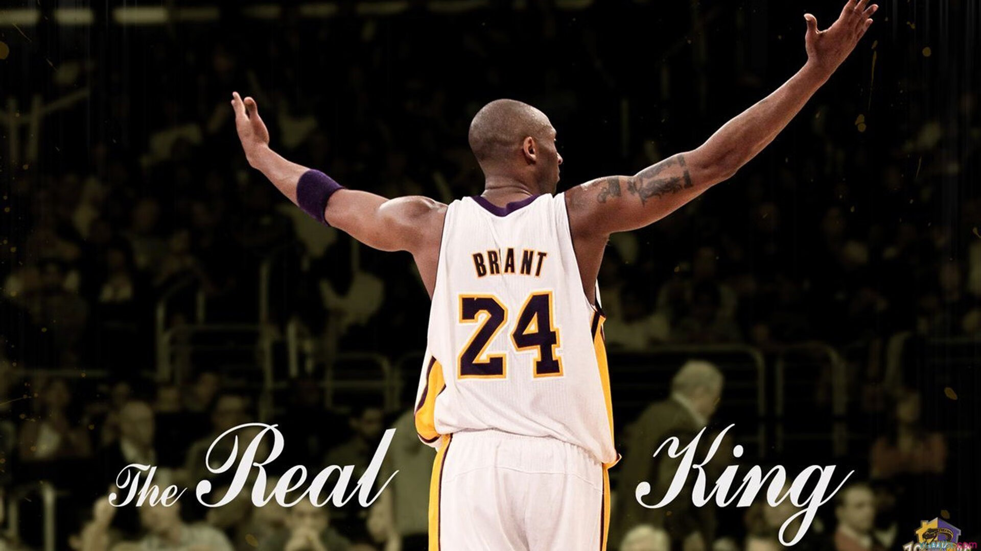 武切维奇关键一击定乾坤，上海队力克步行者展现亚洲篮球新高度